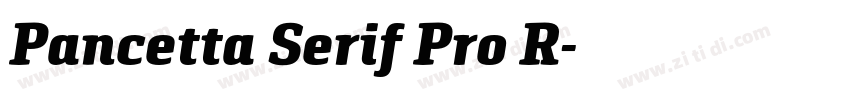 Pancetta Serif Pro R字体转换